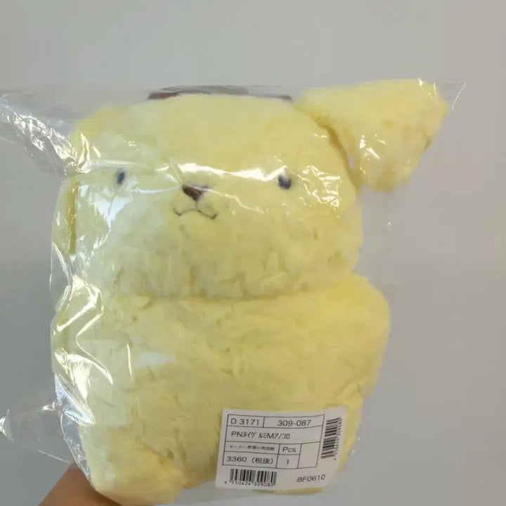 [BUNJANG] Pompu That Time M Size / 폼푸 그때그시절 m사이즈