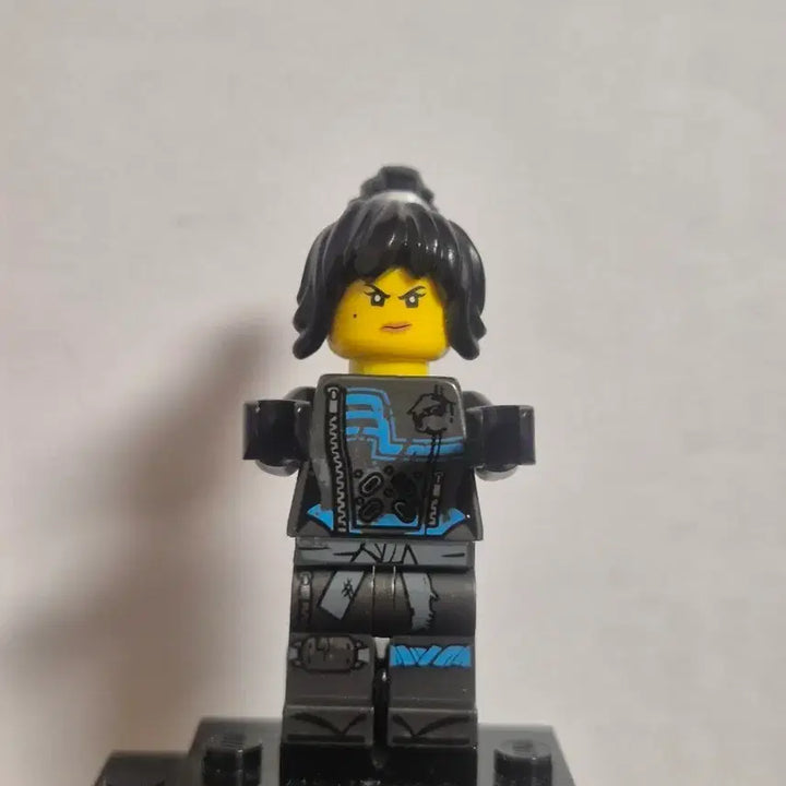 [BUNJANG] LEGO Ninjago Nya / 레고 닌자고 니야