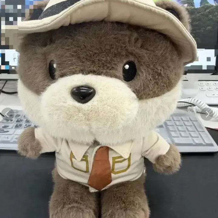 [BUNJANG] National Park Dal-kong Medium Plush Doll 28cm / 국립공원 달콩이 중형인형 28cm, 국립공원 굿즈
