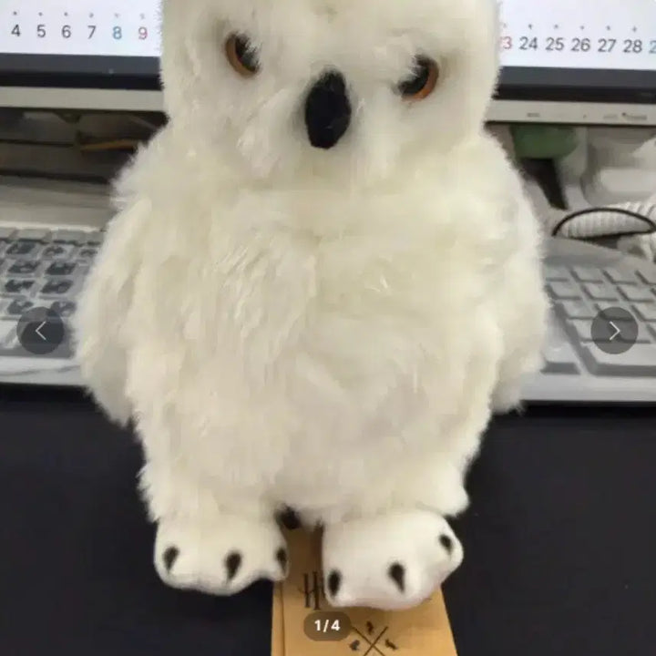 [BUNJANG] Universal Studios Exclusive Harry Potter Hedwig Owl Plush / 해리포터 헤드위그 부엉이 유니버셜스튜디오 한정 인형