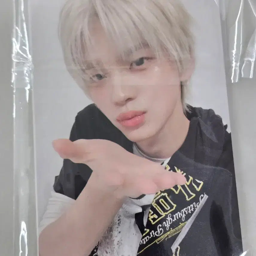 [BUNJANG] TWS Shinyu Panda Photocard POB / TWS 투어스 YZY 이즈위 신유 판다포카  미공포 양도