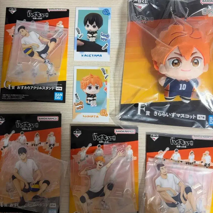 [BUNJANG] Haikyuu!! Karasuno High School Character Set / 하이큐 카라스노 세트