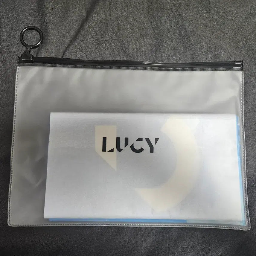 [BUNJANG] Lucy "Fly With Us" Concert Official Slogan / 루시 플콘 공식 슬로건