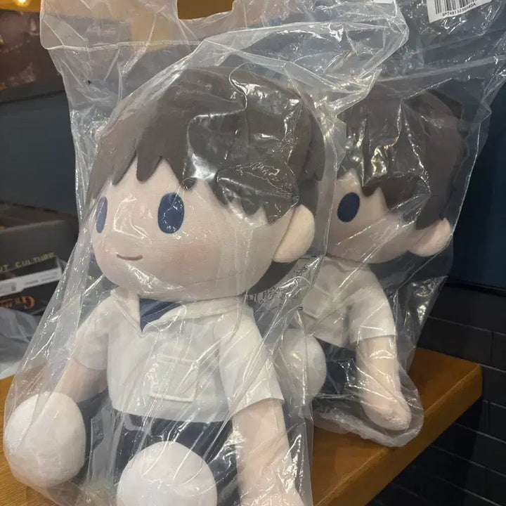 [BUNJANG] Evangelion Kuji A Prize Shinji Doll / 에반개리온 쿠지 A상 신지 인형