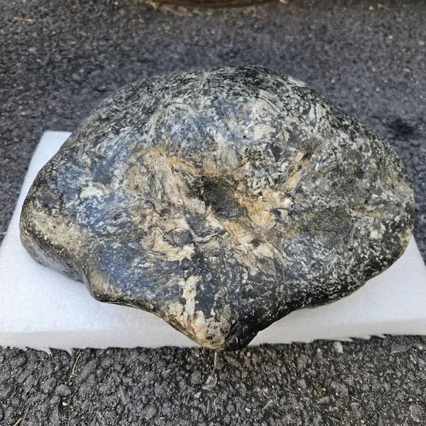[BUNJANG] Leopard Stone Natural Stone (Approx. 30cm) / 호피석 수석 자연석 포인트가 있고 밑자리 좋음 크기 30센치정도 매력적인 자연석이에요