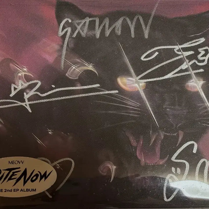 [BUNJANG] MEOVV BITE NOW Signed Album / 미야오 싸인앨범 MEOVV BITE NOW 친필싸인앨범 비매 MEOVV signed album