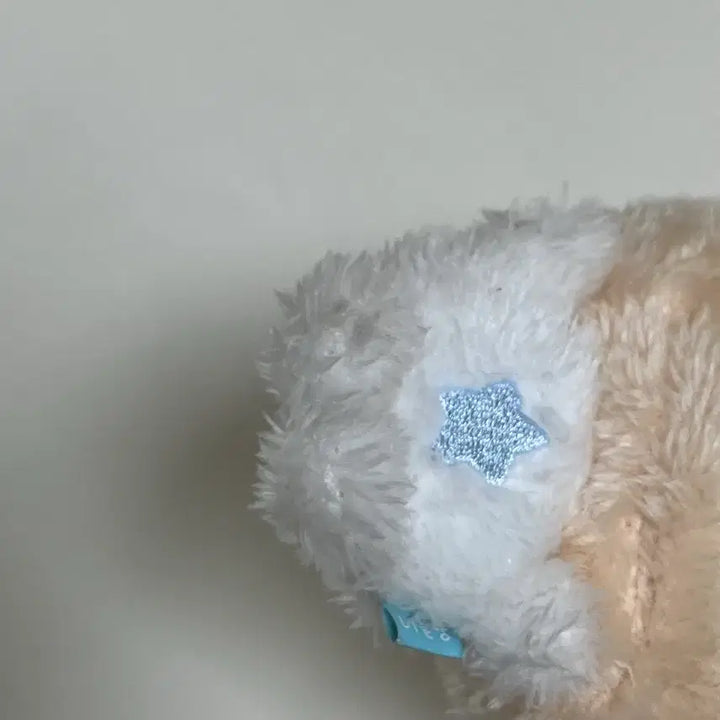 [BUNJANG] NCT WISH Wishdoll Bubble Nyan / 엔시티 위시 위시돌 버블냥