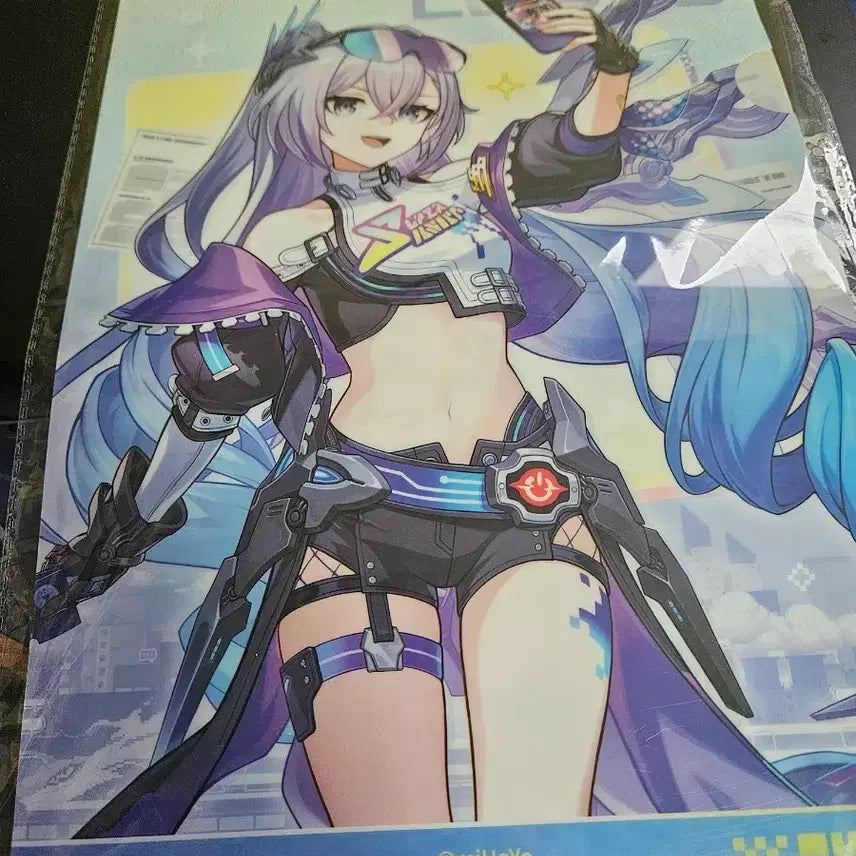 [BUNJANG] Honkai: Star Rail Silver Wolf A4 File / 스타레일(붕스) 전시회 은랑 A4파일