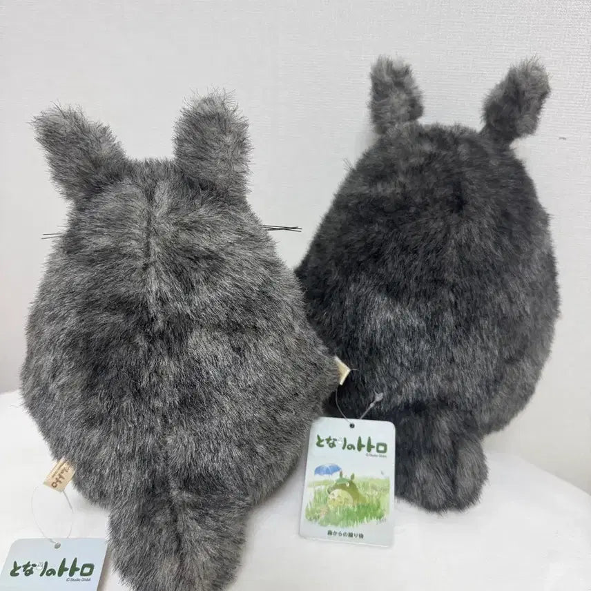 [BUNJANG] Studio Ghibli Totoro Plush (Small) / 지브리)썬애로우 토토로인형s