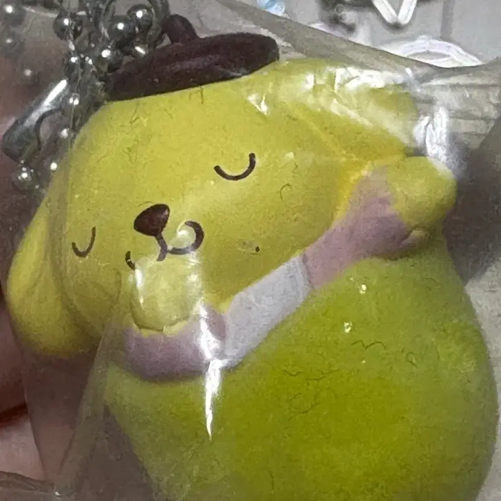 [BUNJANG] Pompompurin Set / 폼폼푸린 세트 팝니다