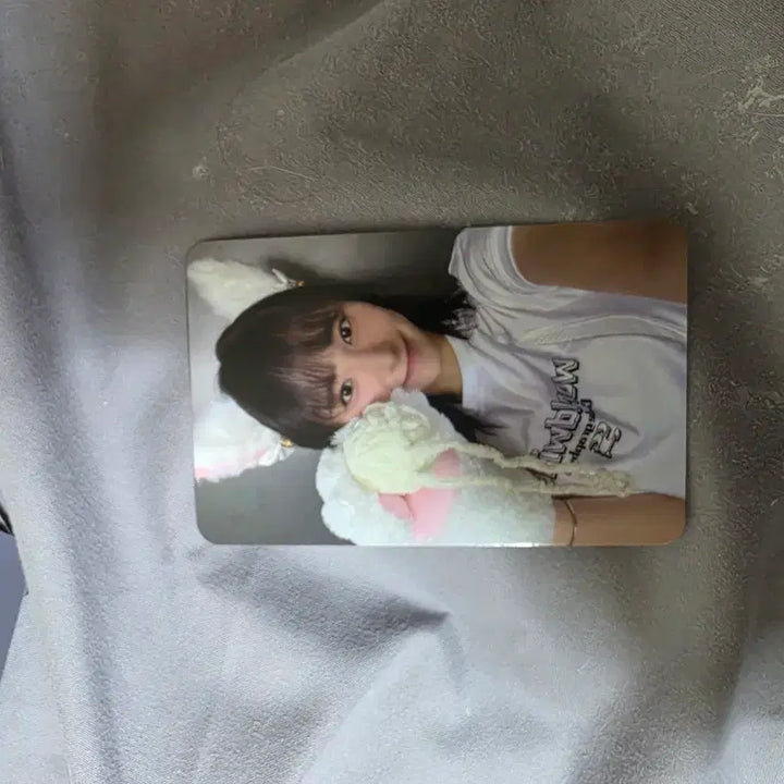 [BUNJANG] EVERGLOW Photocard / 에버글로우 포토카드