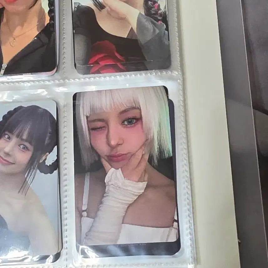 [BUNJANG] EVERGLOW Photocard / 에버글로우 포토카드 판매합니다