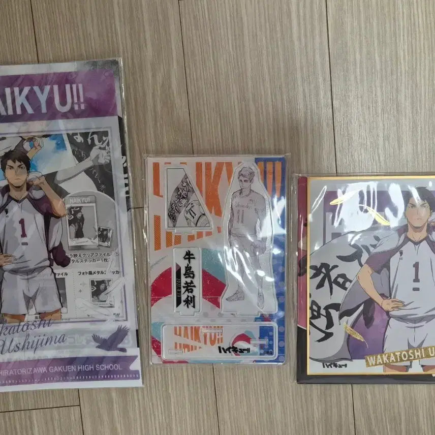 [BUNJANG] Ushijima Goods Bundle Set / 우시지마굿즈 일괄판매