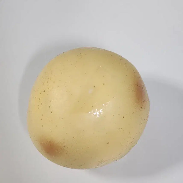 [BUNJANG] Potato Crunch Slangi (Repair Needed) / 감자 크런치 슬랑이 (보수 필요)