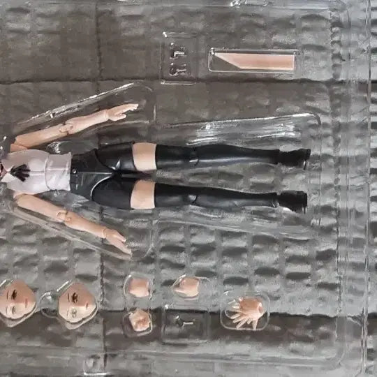 [BUNJANG] SHF Lej Zer Model / shf 레제 택포 13.7
