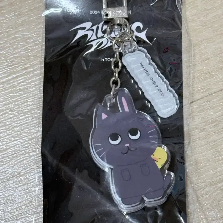 [BUNJANG] RIIZE Wonbin Toyangdeok Japan Fancon Acrylic Keyring / 라이즈 원빈 토냥덕 일본 팬콘 아크릴 키링
