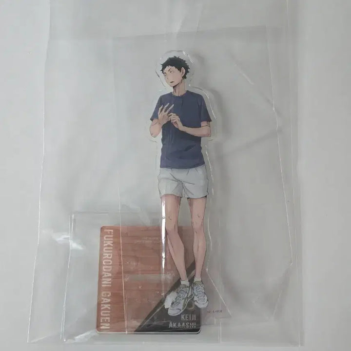 [BUNJANG] Haikyuu!! Akaashi Keiji Acrylic Stand / 하이큐 아카아시 케이지 아크릴 스탠드