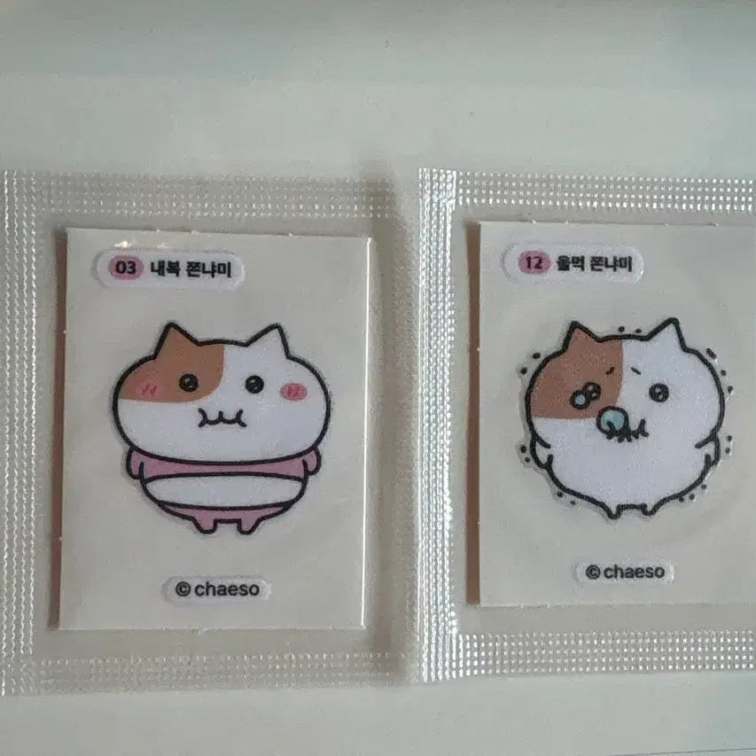 [BUNJANG] Jjonnyami Ttimbusel Sticker Set / 쫀냐미 띠부씰