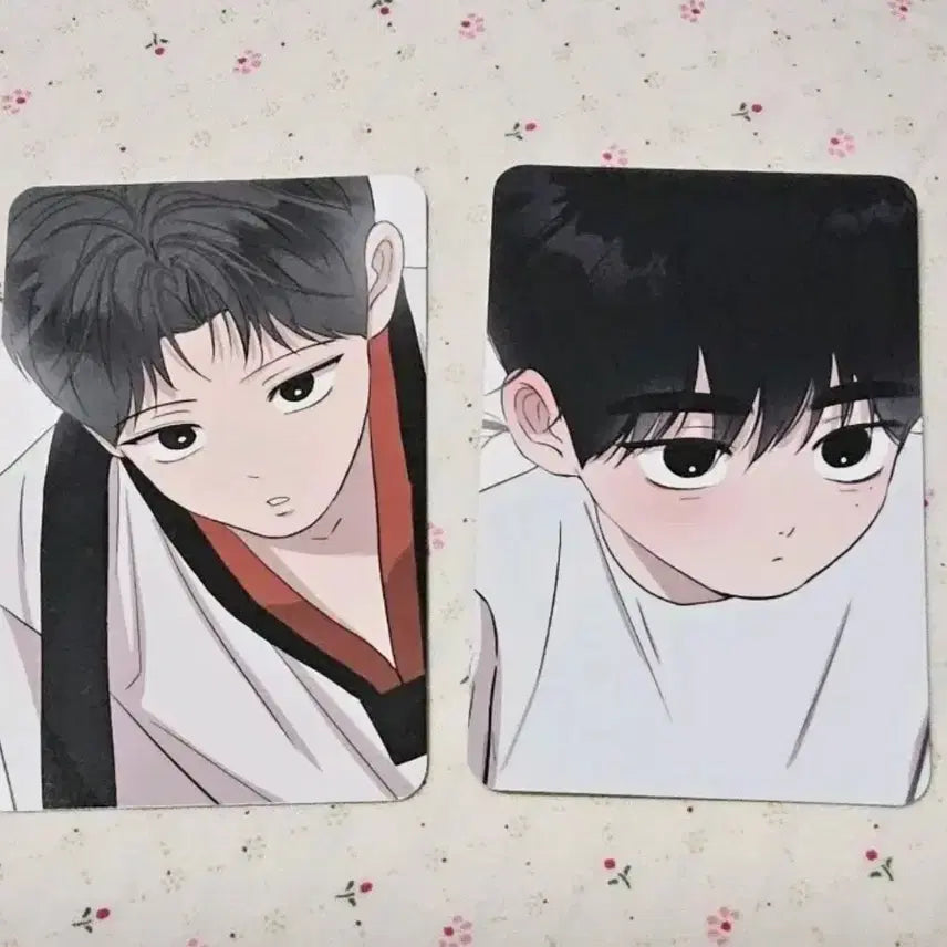 [BUNJANG] Rebom Unslp Gift Photocard POB Bundle Set / 레봄 언슬립 기프트 포카 포토카드 특전