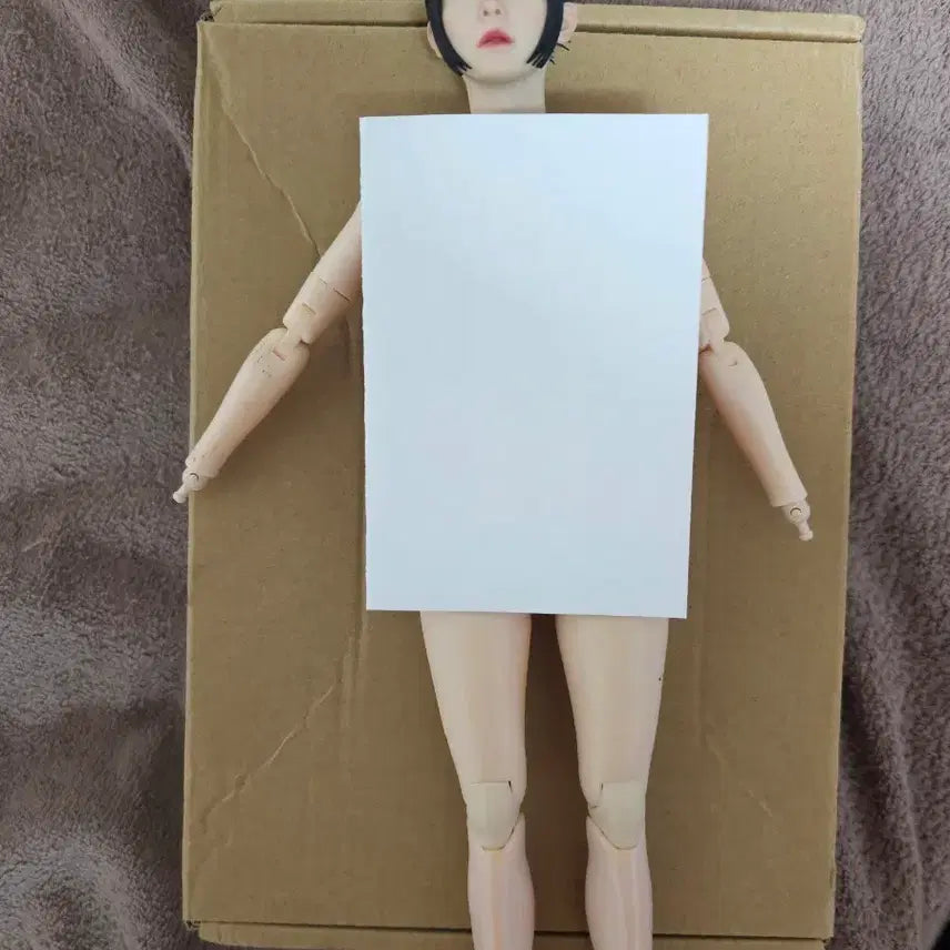 [BUNJANG] Hot Toys Custom Figure Body / 핫토이x 커스텀용 피겨.