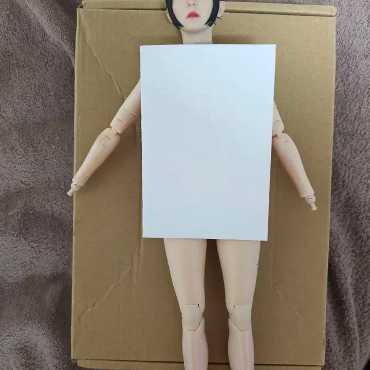 [BUNJANG] Hot Toys Custom Figure Body / 핫토이x 커스텀용 피겨.