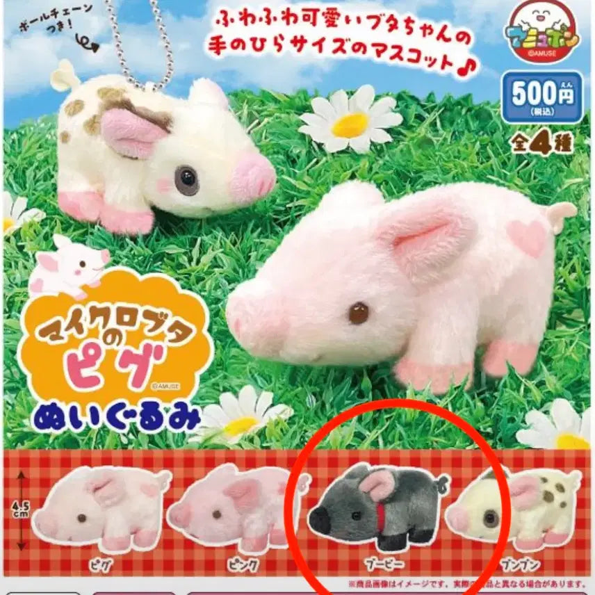 [BUNJANG] Micro Pig Gacha Doll / 마이크로 돼지 가챠 인형