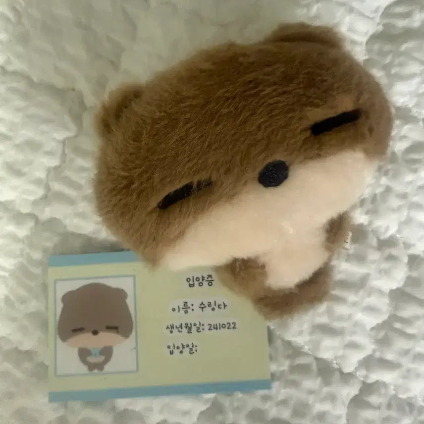 [BUNJANG] BOYNEXTDOOR SURINGDA Plush Doll (Riwoo) / 보이넥스트도어 비공굿 수링다 인형 판매합니다 (리우)
