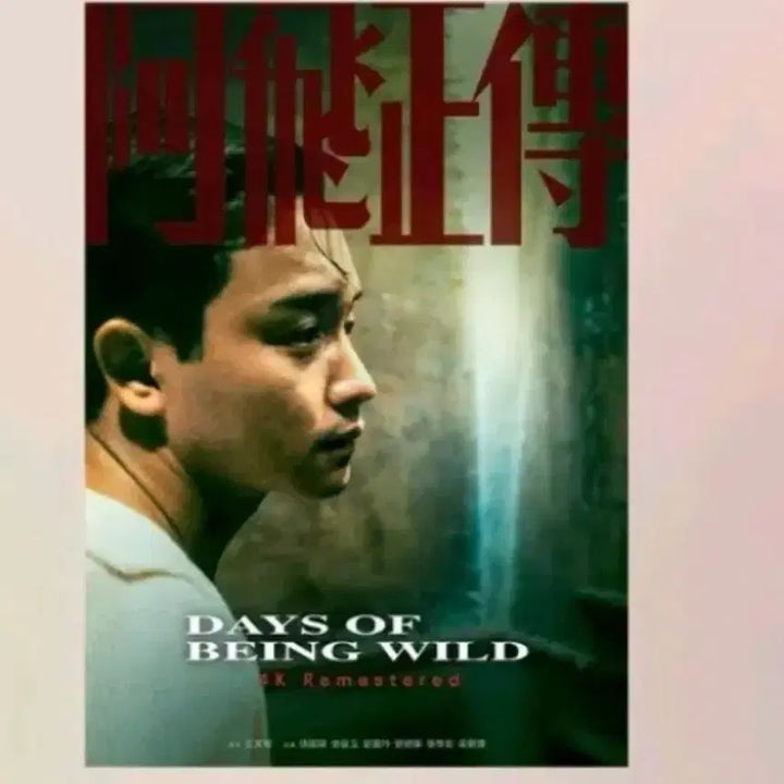 [BUNJANG] The Roundup Artgraphy + Week 2 Weekend Poster / 아비정전 아트그라피 + 2주차 주말포스터