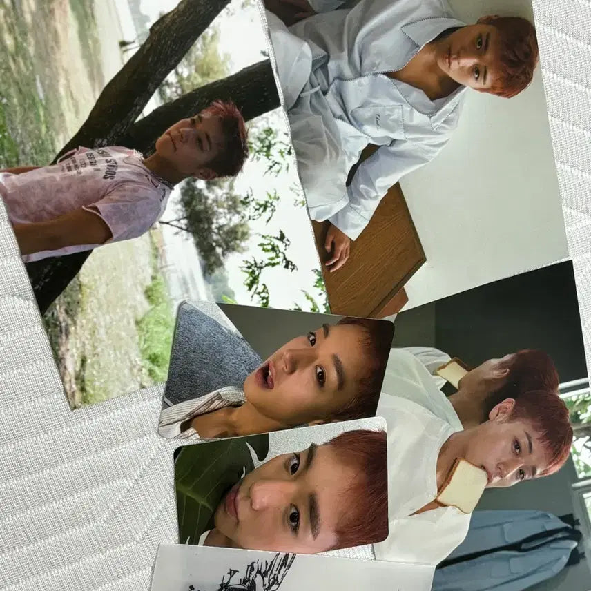 [BUNJANG] Park Ji-hoon Reflect Photo Print + Photocard Bundle Set / 박지훈 공포 일괄판매 리플렉트 인화사진+포토카드