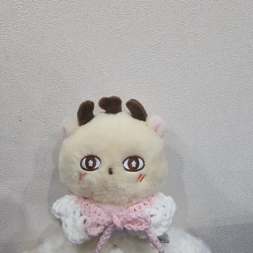 [BUNJANG] Customizable Cape Set with Strawberry Bag / 소심이 케이프 + 딸기가방 세트
