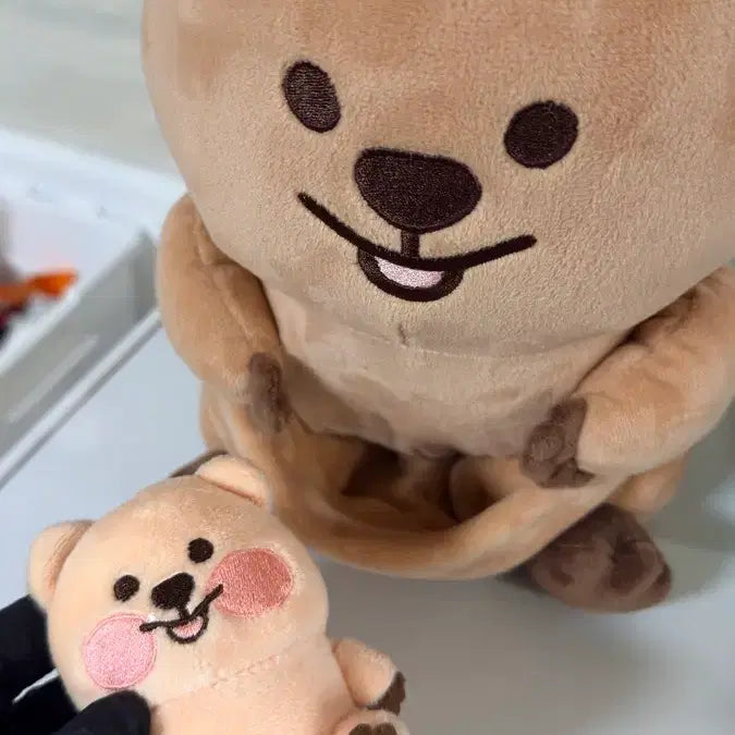 [BUNJANG] Quokka Plushie Set / 쿼카 인형 세트