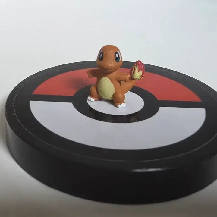 [BUNJANG] Pokemon Charizard XY Version 1:40 Scale 3D Figure / 포켓몬스터 1:40 입체도감 파이리 XY버전 피규어