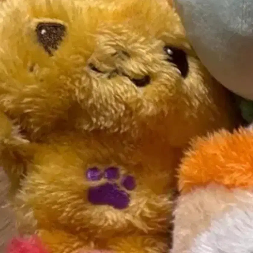 [BUNJANG] NCT WISH Zion Zion Doll / 시오닝 엔시티위시 시온 인형 엔위시
