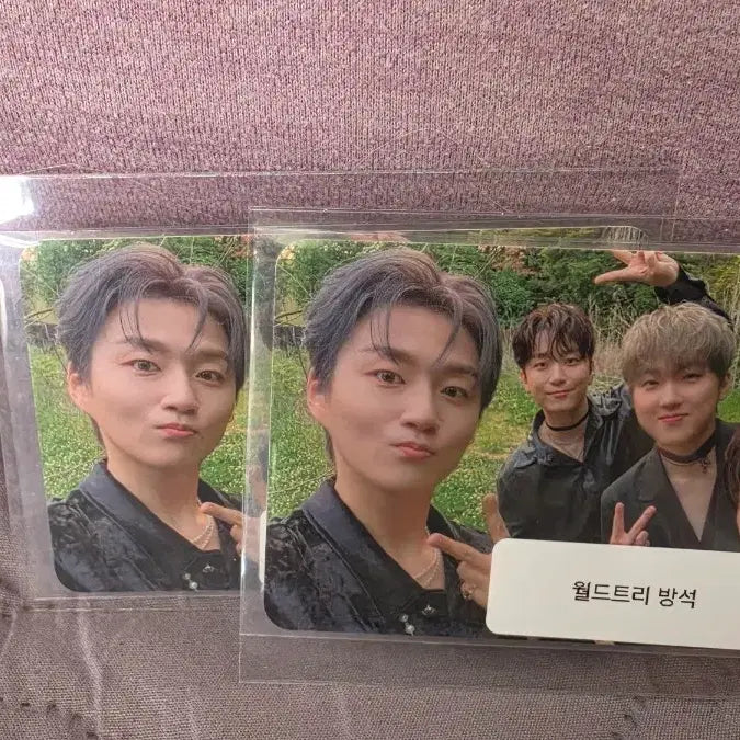 [BUNJANG] World Tree Cushion Photocard / 월드트리 방석 포토카드
