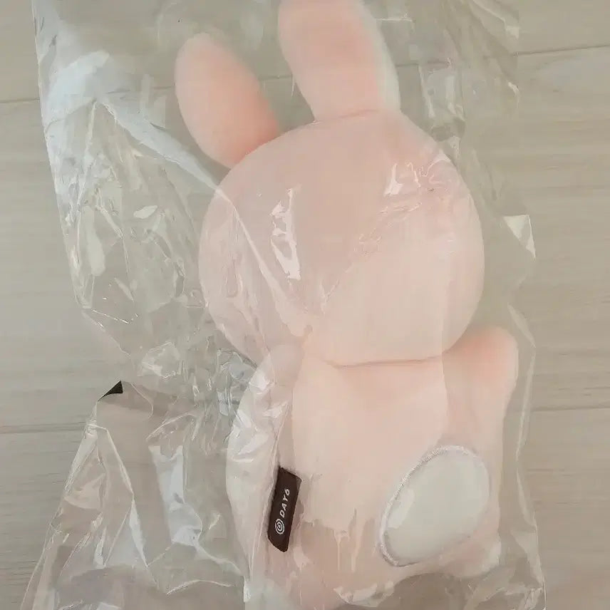 [BUNJANG] Day6 Wonpil Dennimals Lying Down Hand Warmer Sealed / 데이식스 원필 데니멀즈 누운 손난로 미개봉 원가이하