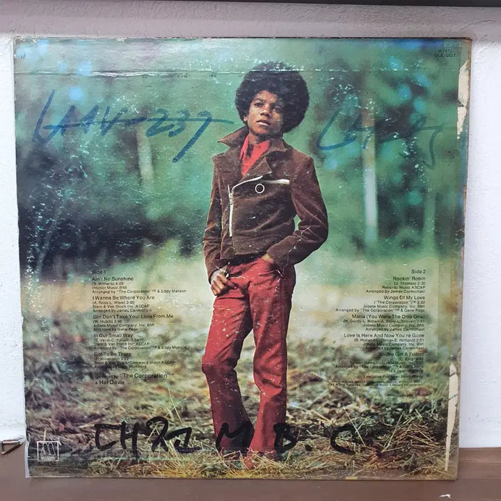[BUNJANG] Michael Jackson LP Record / 마이클잭슨 LP