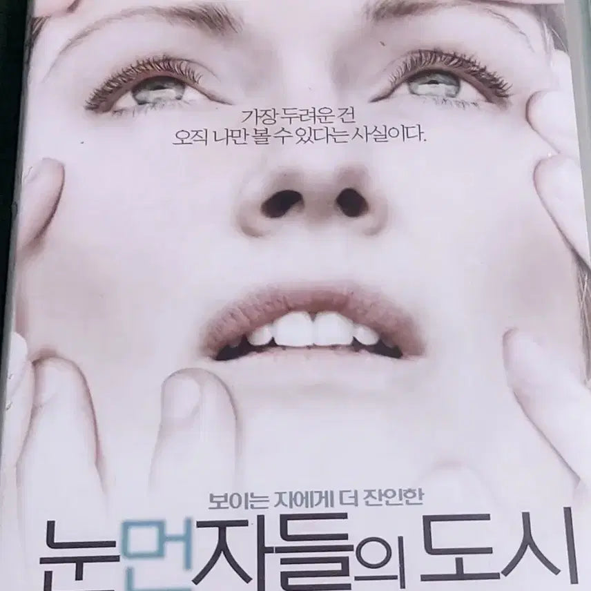 [BUNJANG] Blindness (2008) VHS Tape / 눈먼자들의도시 비디오테이프 팝니다 페르난도 메이렐레스  줄리안무어 마크러팔로 고전