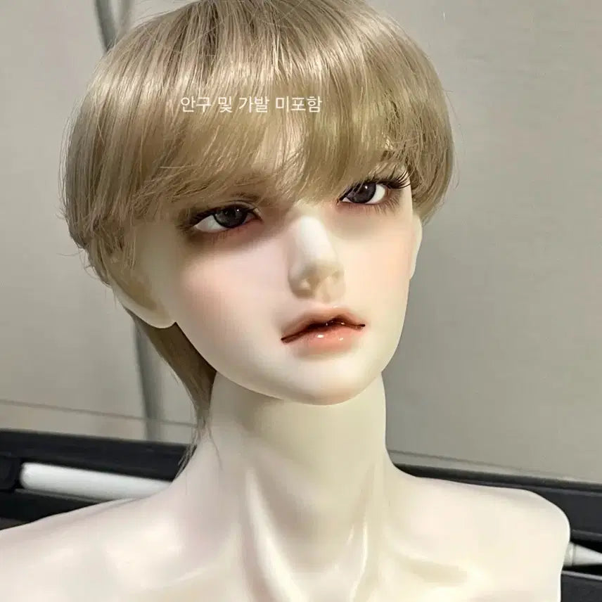 [BUNJANG] LUTS "ShuShidel Jupiter" Head (White Skin) / sd17급 미백 헤드)루츠 슈시델 주피터