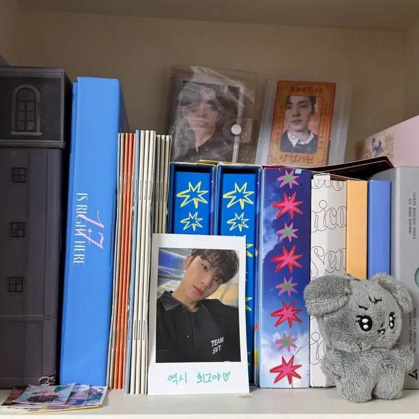 [BUNJANG] Seventeen Bundle Set / 세븐틴 탈덕처분 (일괄)