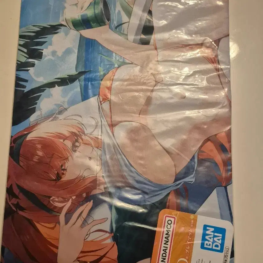 [BUNJANG] NİKE D-Selecť Laphis Mousepad / 니케 D상 라피 마우스장패드
