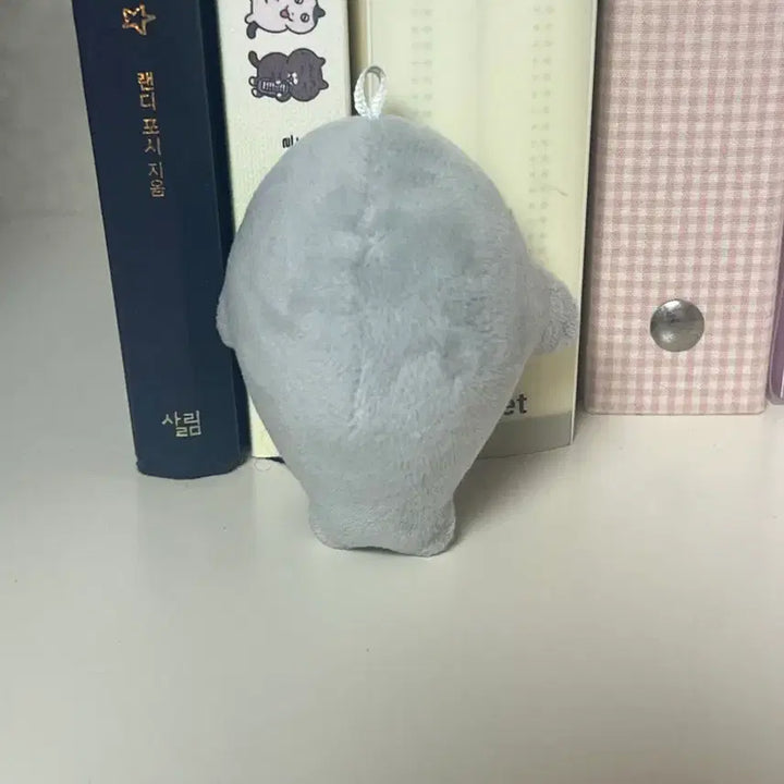 [BUNJANG] Gray Seal Gacha Plush Toy / 가챠) 회색 물개 인형