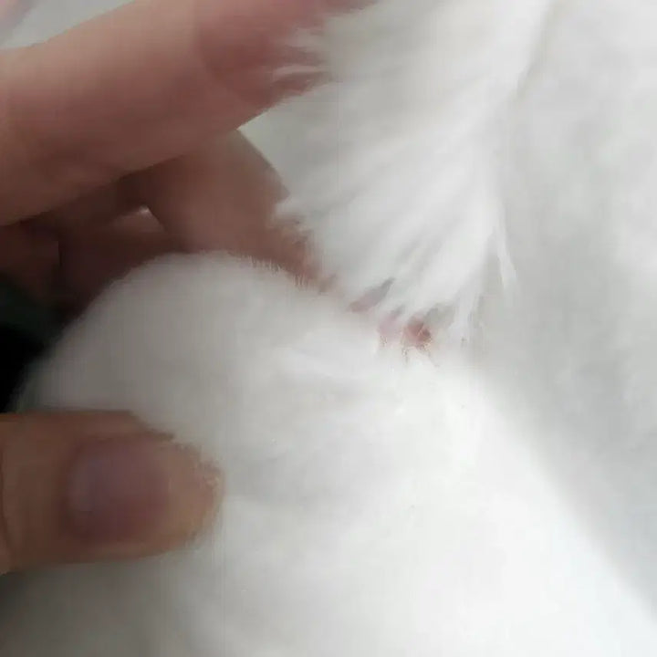 [BUNJANG] Momonga Plush (B Prize) / [판매] 모몽가쿠지 B상