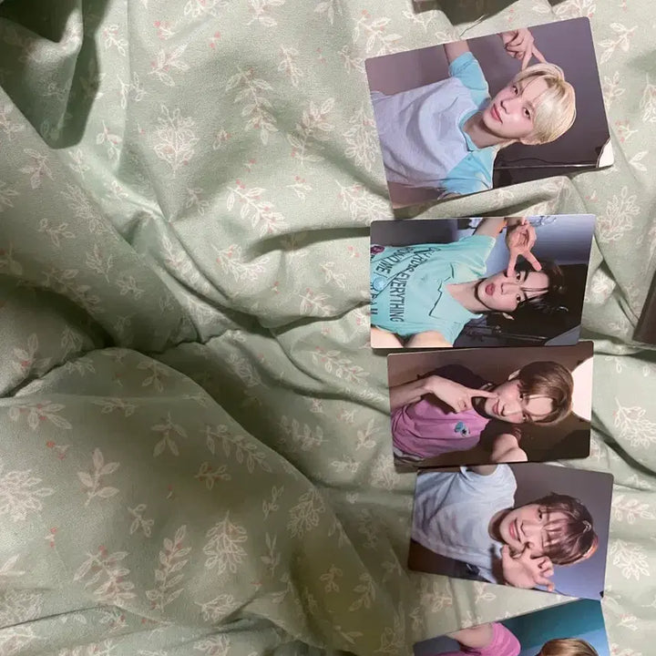 [BUNJANG] TWS Begins Photocard Bundle Set / 투어스 비긴스 포카 1세트 일괄