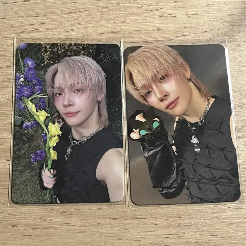 [BUNJANG] &amp;TEAM Nicholas Back to Life Photocard Bundle Set / 앤팀 니콜라스 백투랖 포카 백투라이프