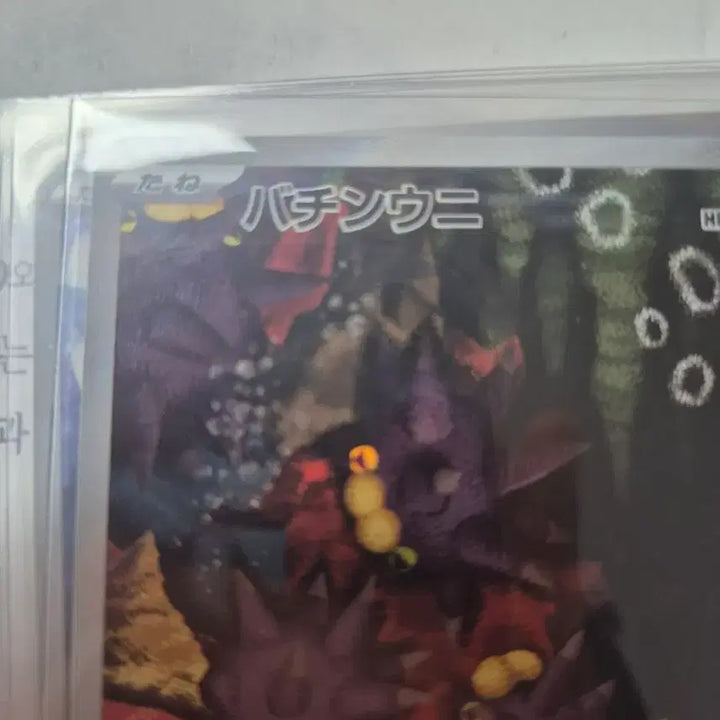 [BUNJANG] Storm Emerald Urchin AR Japanese Version / 스톰에메랄다 찌르성게 ar 일판
