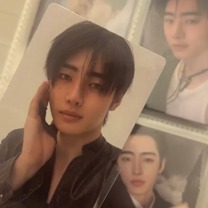 [BUNJANG] ENHYPEN THE SIN : BLISS Weverse POB Sunghoon / 엔하이픈 THE SIN : BLISS 위버스 특전 성훈