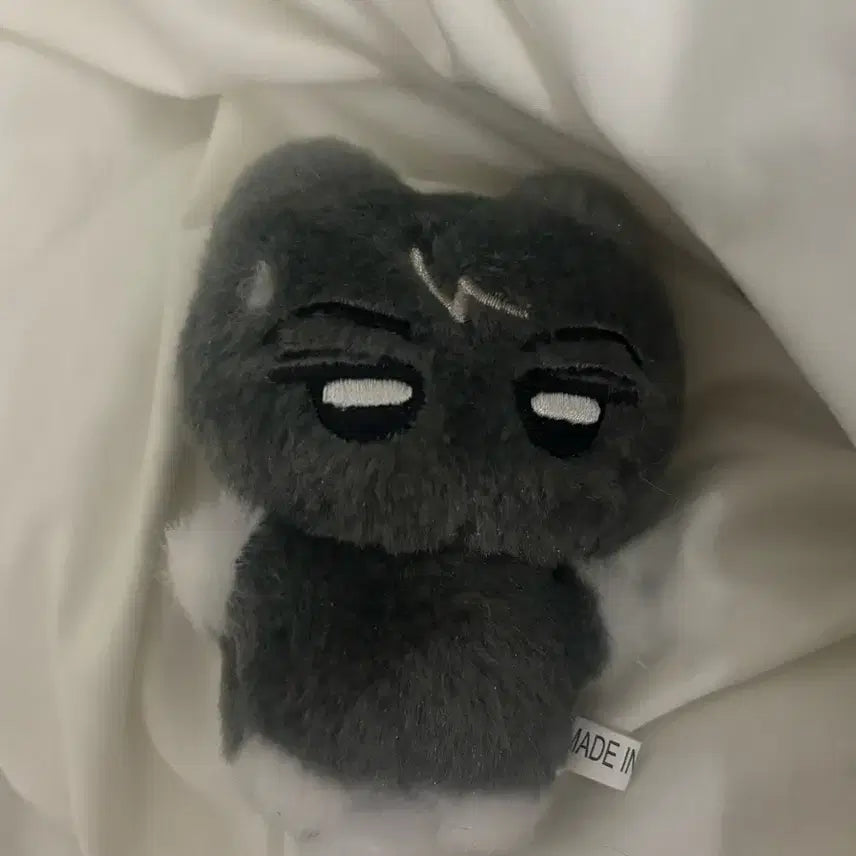 [BUNJANG] ENHYPEN J Jake Doll / 냥쫑군판매엔하이픈제이인형