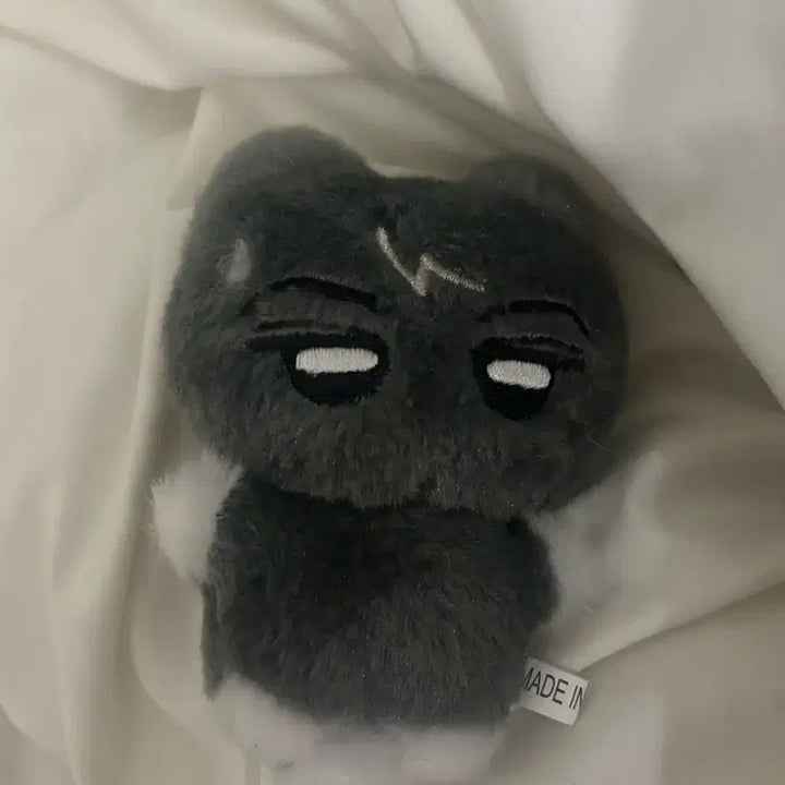 [BUNJANG] ENHYPEN J Jake Doll / 냥쫑군판매엔하이픈제이인형