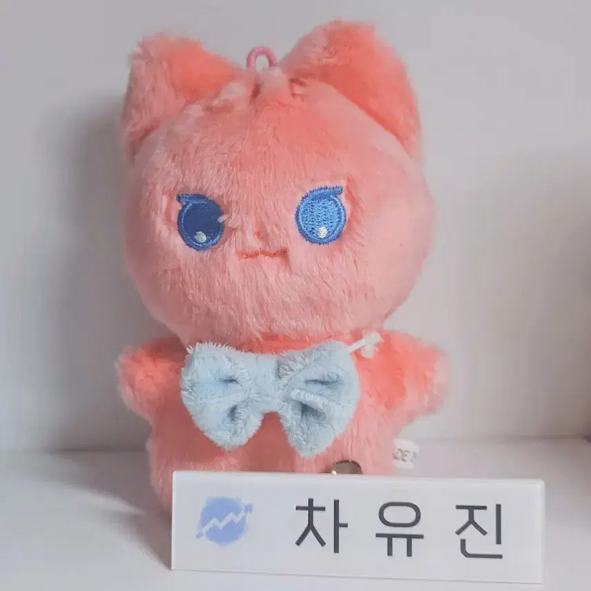 [BUNJANG] Demutjoo Cha Yujin Doll Name Tag Bundle Set / 데못죽 차유진 인형 명찰 일괄 판매
