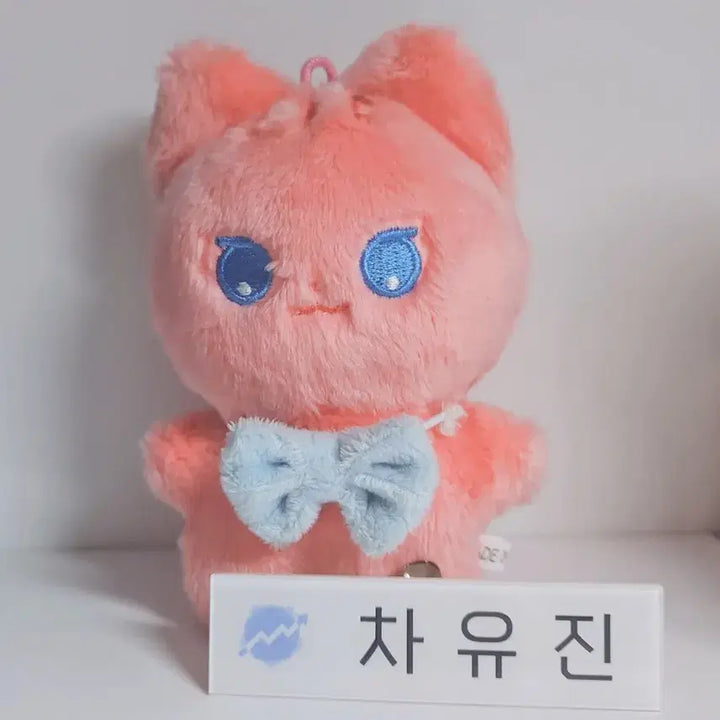 [BUNJANG] Demutjoo Cha Yujin Doll Name Tag Bundle Set / 데못죽 차유진 인형 명찰 일괄 판매
